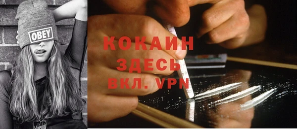 mdma Бородино