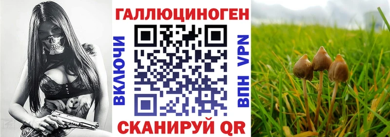 hydra ТОР  Горно-Алтайск  Псилоцибиновые грибы GOLDEN TEACHER 