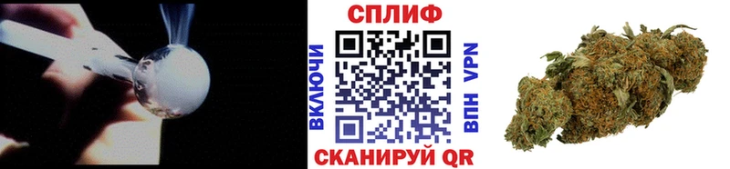 Марихуана сатива  Горно-Алтайск 
